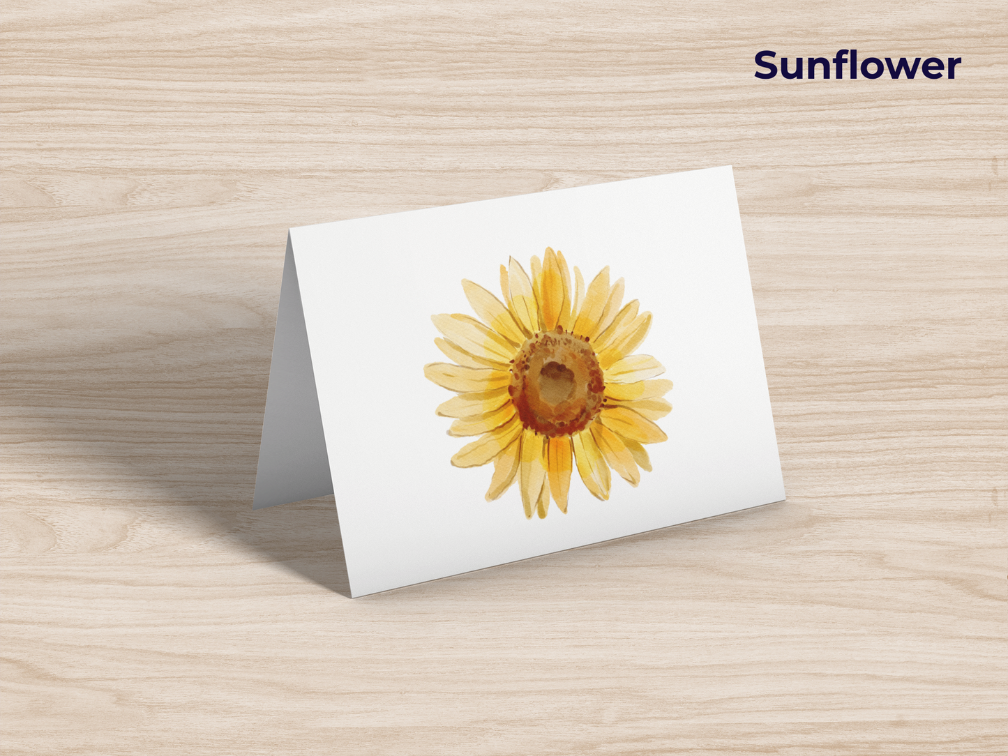 Blank Stationery Notecards (10-Pack)